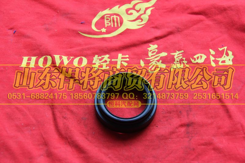 2402Q01-060-F,HAOWO豪沃輕卡油封總成,山東悍將商貿(mào)有限公司