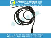 az9918770053,金王子配件 金王子駕駛室翻轉(zhuǎn)線束（左置車(chē)/電瓶箱左置/3300）,濟(jì)南奇昌汽車(chē)配件有限公司